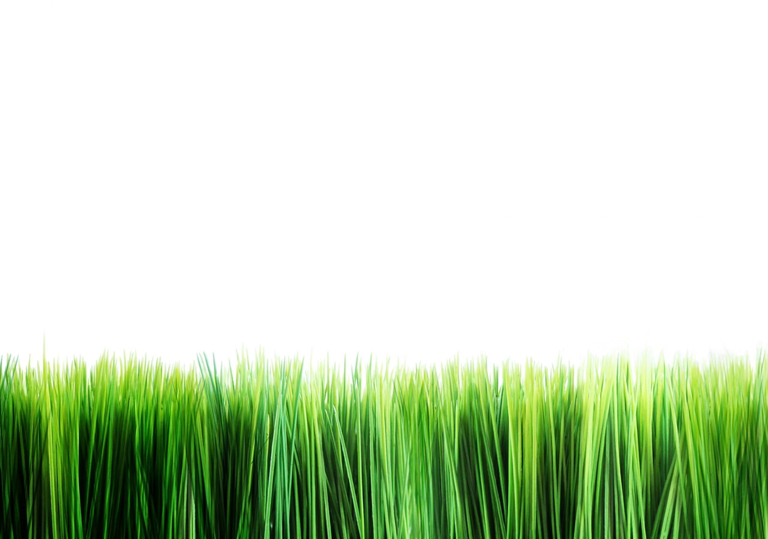 Eco-Branding… More than chic!…