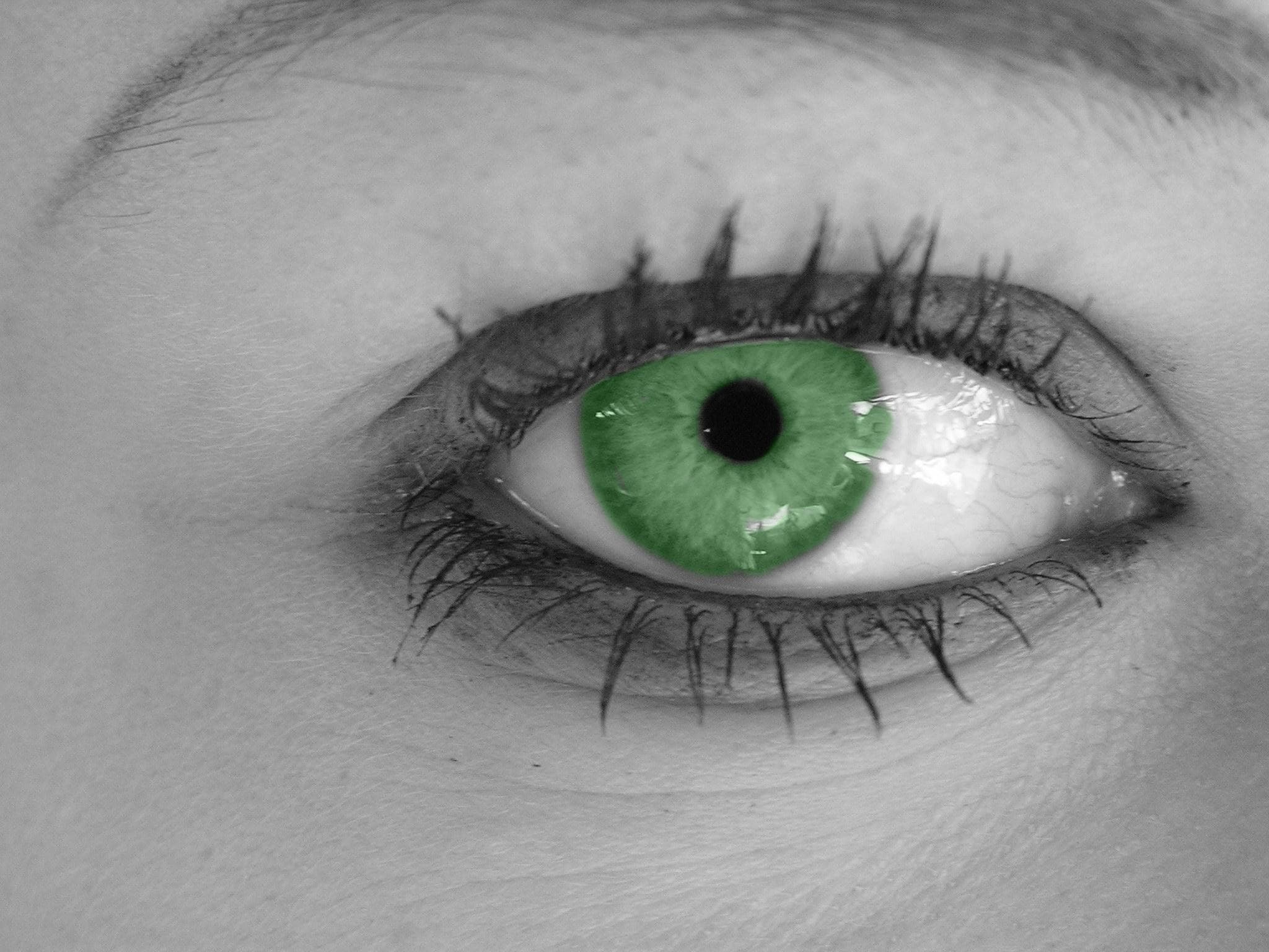 Brands with conscience, their focus on social