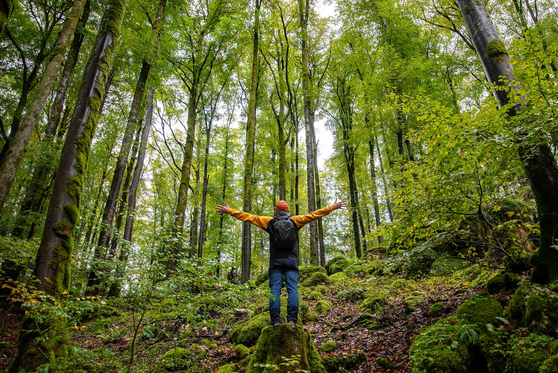 Hybrid Experiences and Brand | When Customers Distinguish Between Coherence and Incoherence